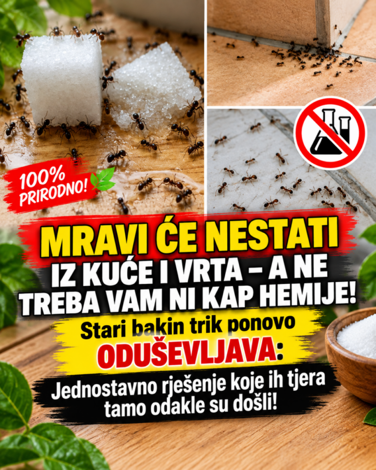 MRAVI ĆE NESTATI IZ KUĆE I VRTA – A NE TREBA VAM NI KAP HEMIJE! Stari bakin trik ponovo ODUŠEVLJAVA: Jednostavno rješenje koje ih tjera tamo odakle su došli!