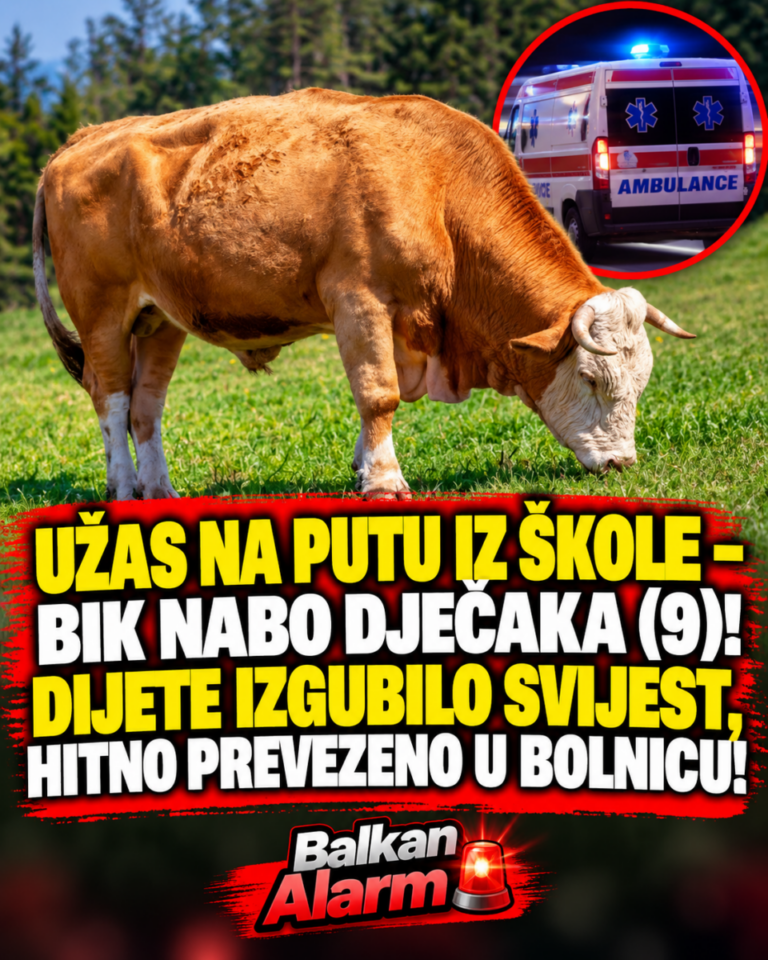 UŽAS NA PUTU IZ ŠKOLE – BIK NABO DJEČAKA (9)! DIJETE IZGUBILO SVIJEST, HITNO PREVEZENO U BOLNICU!