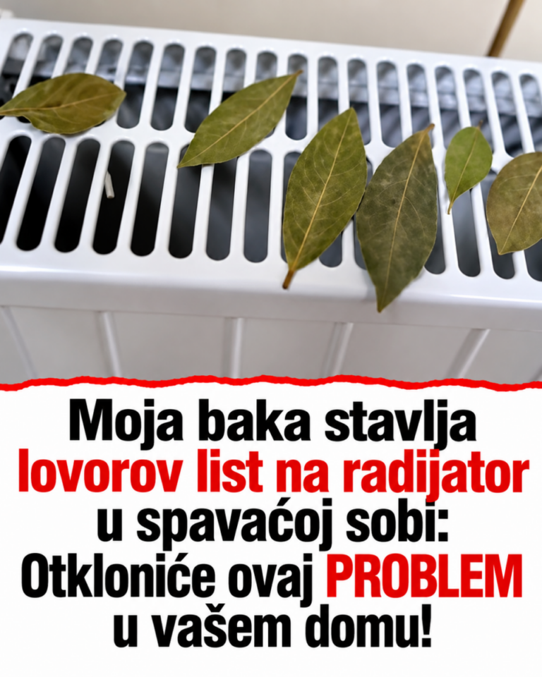 Moja baka stavlja lovorov list na radijator u spavaćoj sobi: Otkloniće ovaj PROBLEM u vašem domu!