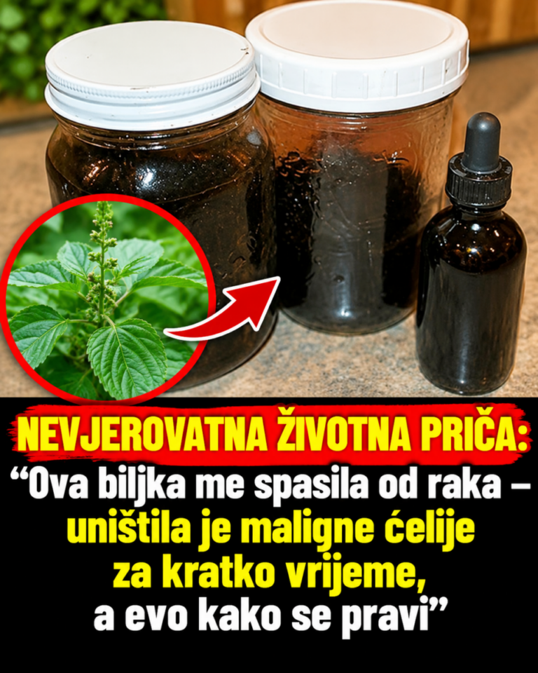 NEVJEROVATNA ŽIVOTNA PRIČA: “Ova biljka me spasila od raka – uništila je maligne ćelije za kratko vrijeme, a evo kako se pravi”