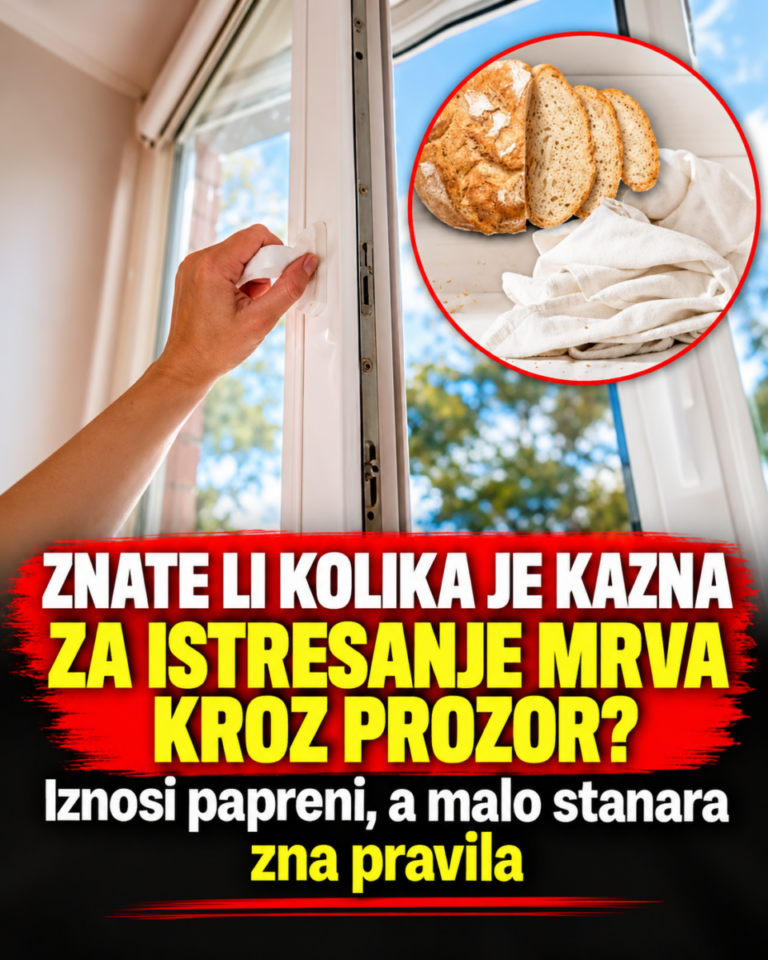 ZNATE LI KOLIKA JE KAZNA ZA ISTRESANJE MRVA KROZ PROZOR? Iznosi papreni, a malo stanara zna pravila