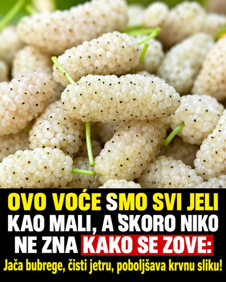 OVO VOĆE SMO SVI JELI KAO MALI, A SKORO NIKO NE ZNA KAKO SE ZOVE: Jača bubrege, čisti jetru, poboljšava krvnu sliku!