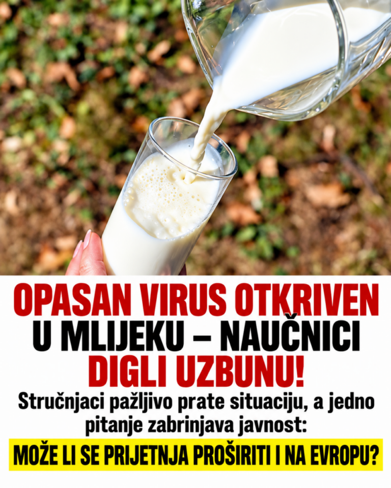 OPASAN VIRUS OTKRIVEN U MLIJEKU – NAUČNICI DIGLI UZBUNU! Stručnjaci pažljivo prate situaciju, a jedno pitanje zabrinjava javnost: MOŽE LI SE PRIJETNJA PROŠIRITI I NA EVROPU?