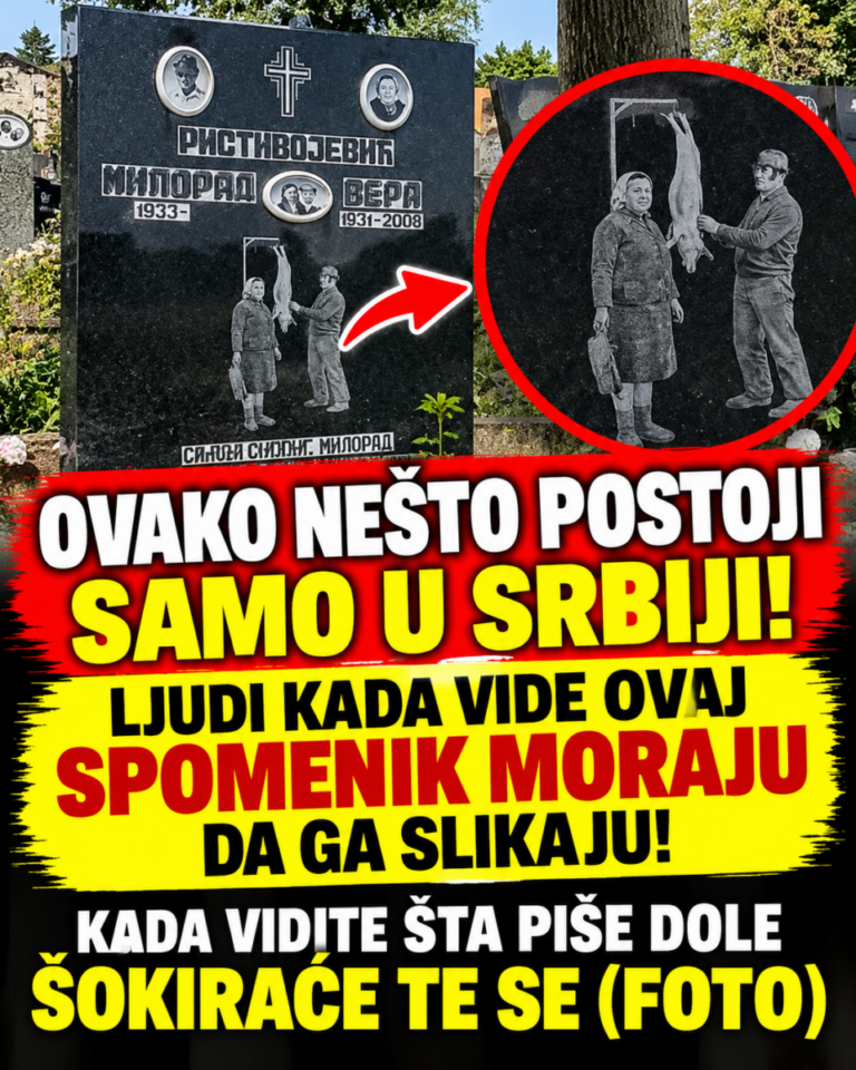 Ovako nešto postoji samo u Srbiji! Ljudi kada vide ovaj spomenik moraju da ga slikaju! KADA vidite šta piše dole šokirat će te se