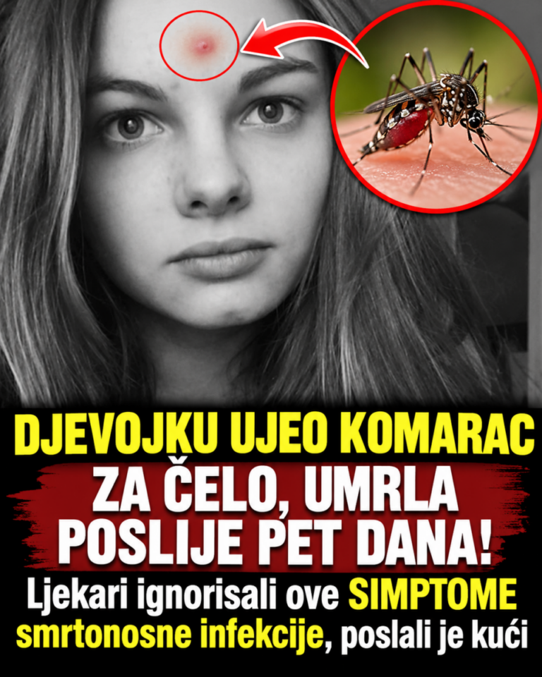 DJEVOJKU UJEO KOMARAC ZA ČELO, UMRLA POSLIJE PET DANA! Ljekari ignorisali ove SIMPTOME smrtonosne infekcije, poslali je kući