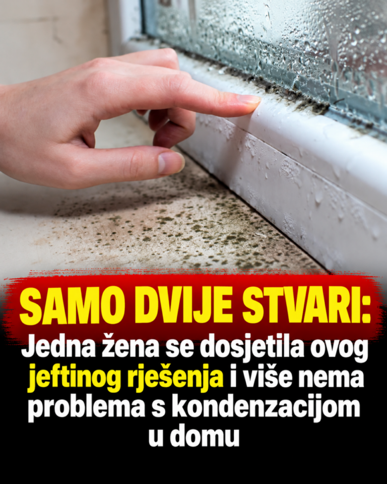 SAMO DVIJE STVARI: Jedna žena se dosjetila ovog jeftinog rješenja i više nema problema s kondenzacijom u domu